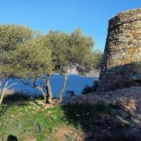 Charmant Petit Logement A 3 Kms De La Plage Belgodère Dış mekan fotoğraf
