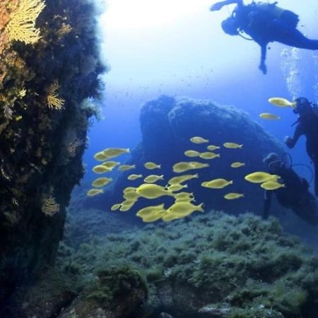 Charmant Petit Logement A 3 Kms De La Plage Belgodère Dış mekan fotoğraf