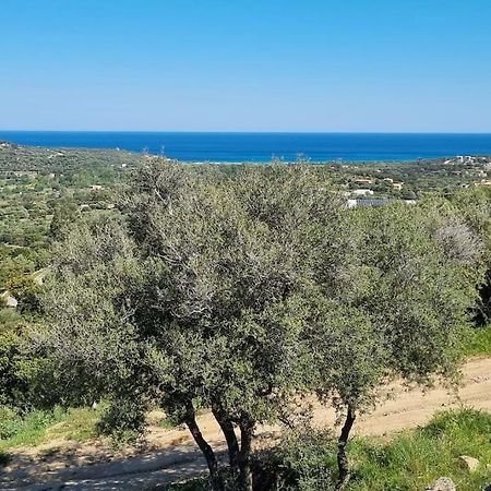Charmant Petit Logement A 3 Kms De La Plage Belgodère Dış mekan fotoğraf