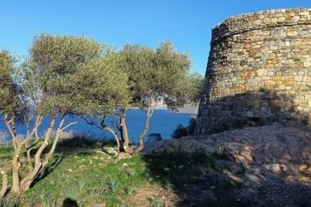 Charmant Petit Logement A 3 Kms De La Plage Belgodère Dış mekan fotoğraf