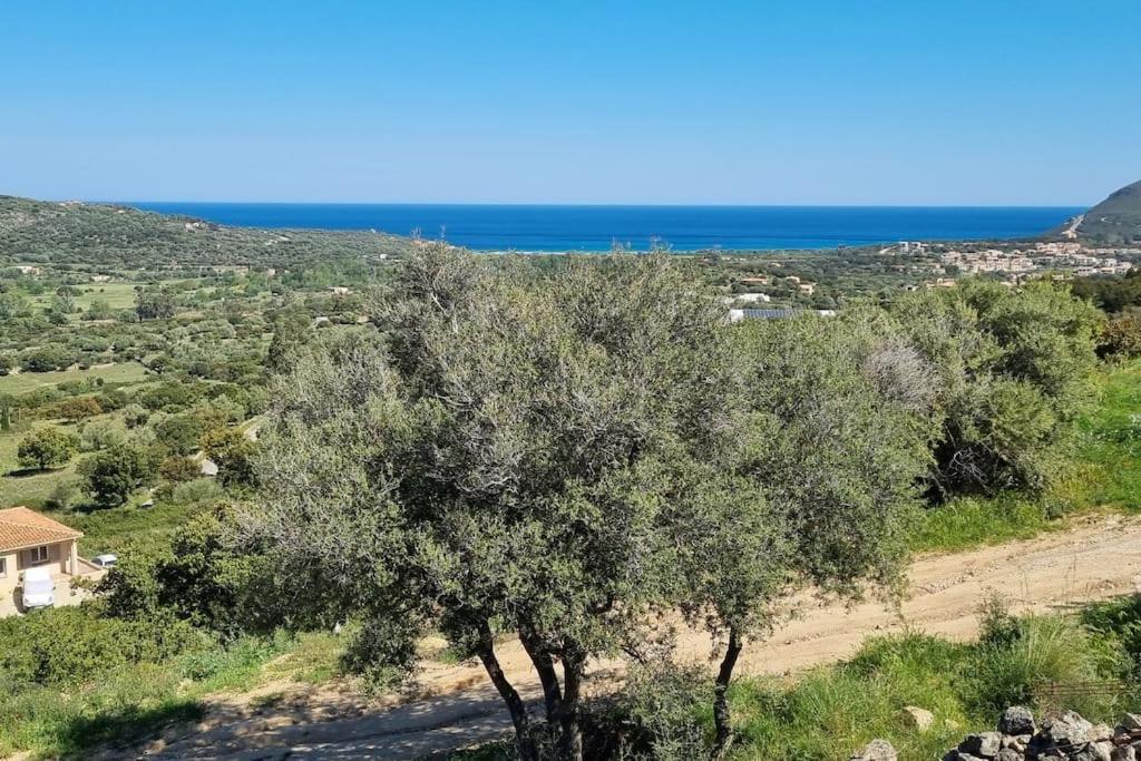 Charmant Petit Logement A 3 Kms De La Plage Belgodère Dış mekan fotoğraf