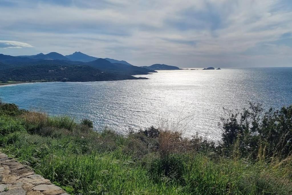 Charmant Petit Logement A 3 Kms De La Plage Belgodère Dış mekan fotoğraf