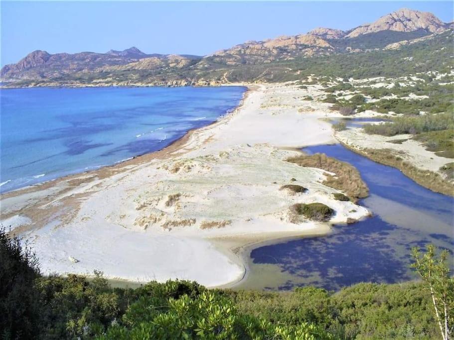 Charmant Petit Logement A 3 Kms De La Plage Belgodère Dış mekan fotoğraf