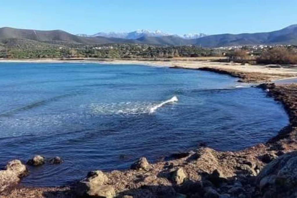 Charmant Petit Logement A 3 Kms De La Plage Belgodère Dış mekan fotoğraf