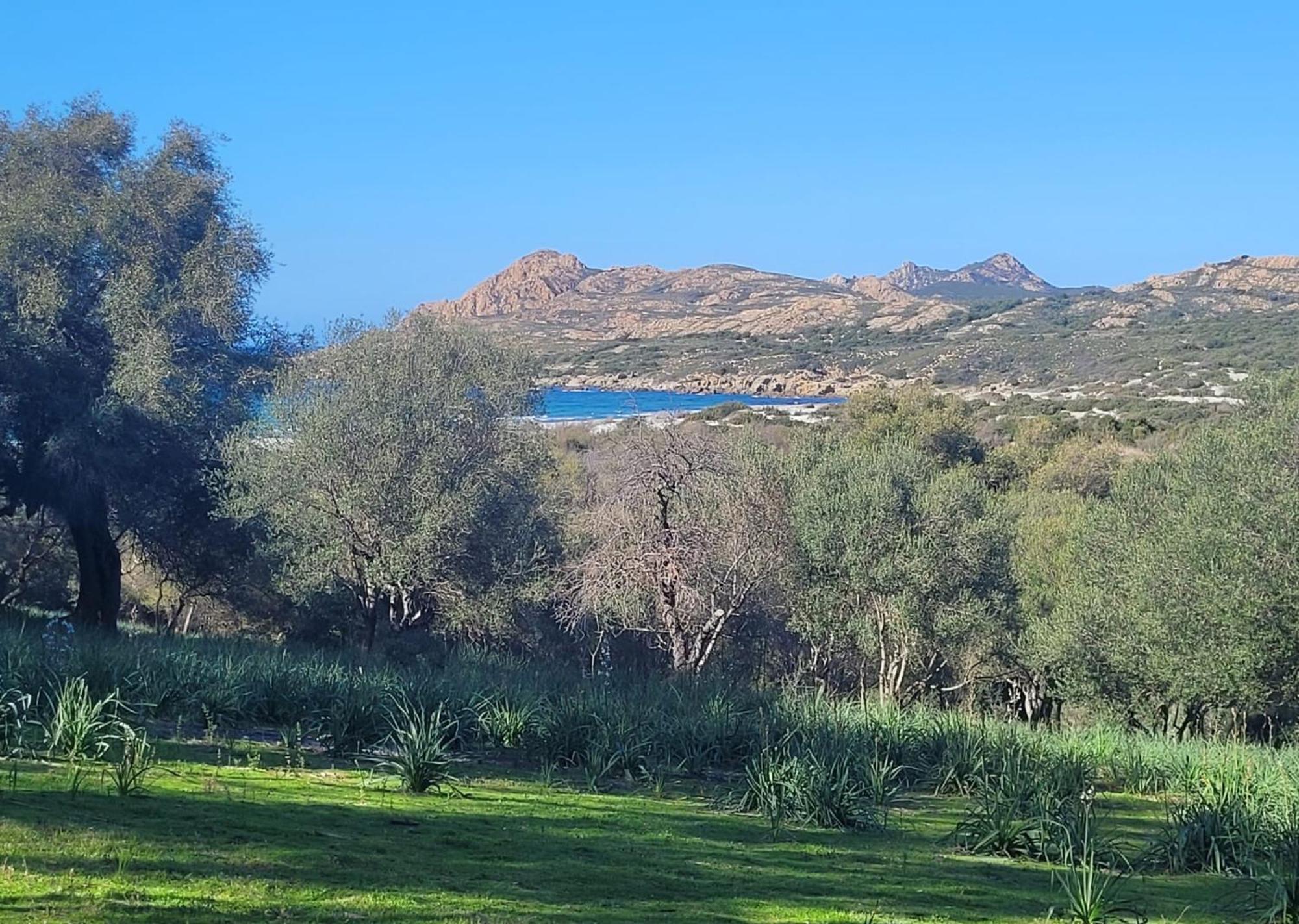 Charmant Petit Logement A 3 Kms De La Plage Belgodère Dış mekan fotoğraf